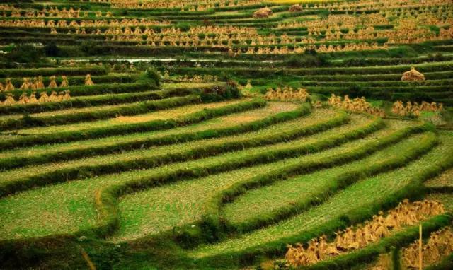 农村最实用的农机有哪些,2018年的新型农机视频