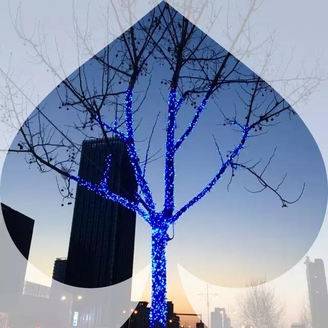 摄影背景模糊人物清晰,变焦模糊摄影教程