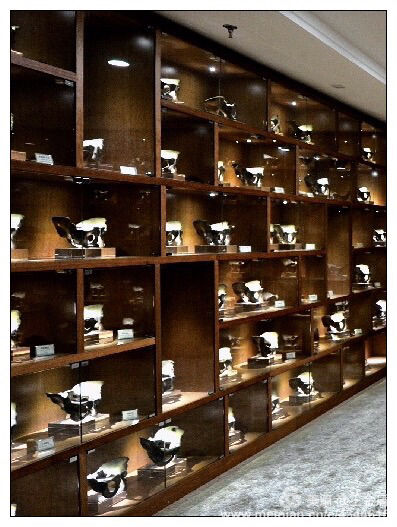 五大道人的故事,五大道故事