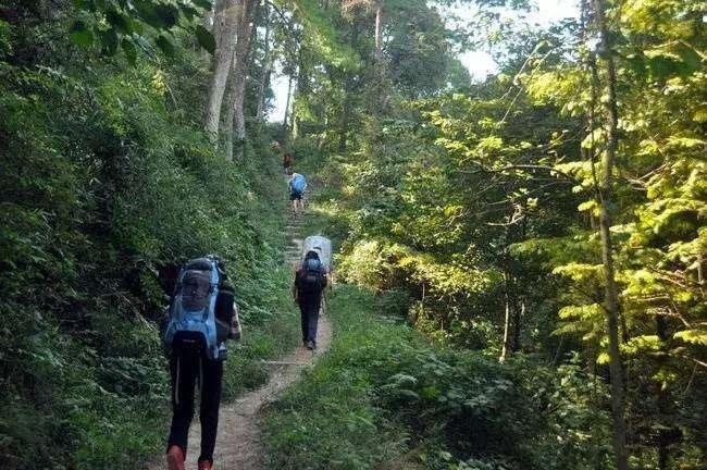 二十四节气处暑已至秋意渐浓,节气之歌二十四节气处暑