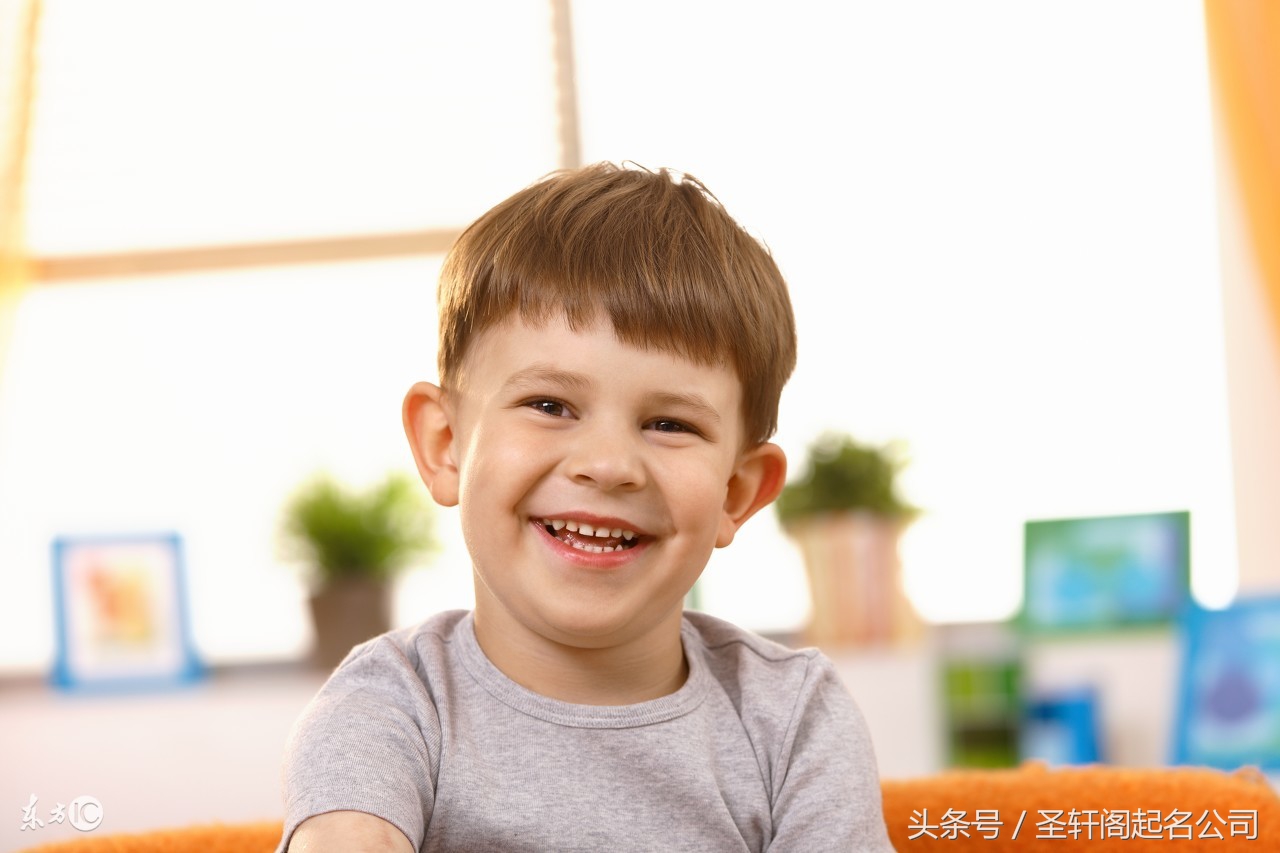 姓林鸡年男孩名字大全,鸡年带诗字男孩名字