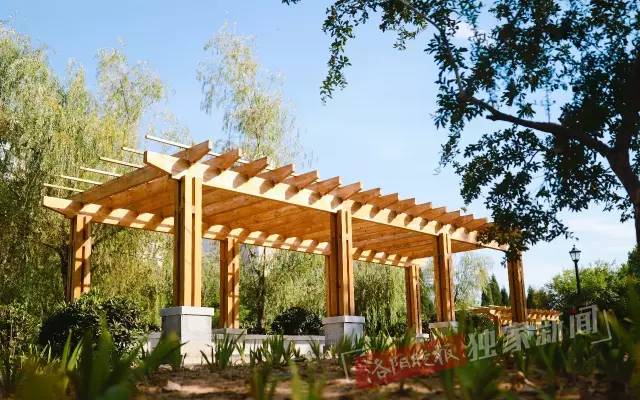 洛阳新开游园,洛阳很美的公园