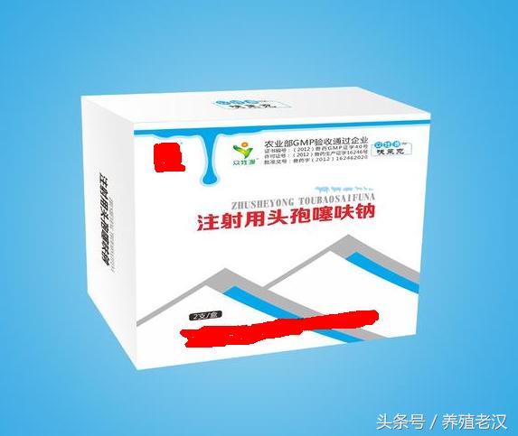 养殖场猪被咬伤,猪被咬伤拿什么擦身上的伤最好