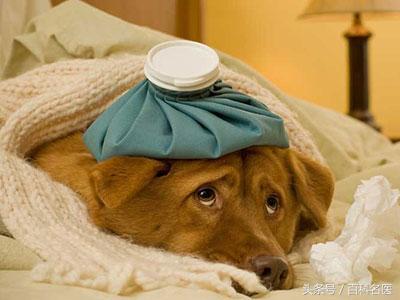 气虚命不长,气虚短命