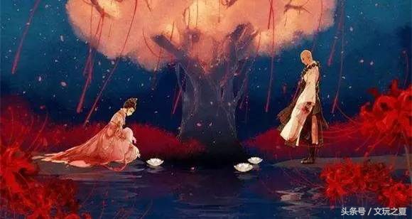 如何选择凤眼菩提,凤眼菩提如何选择