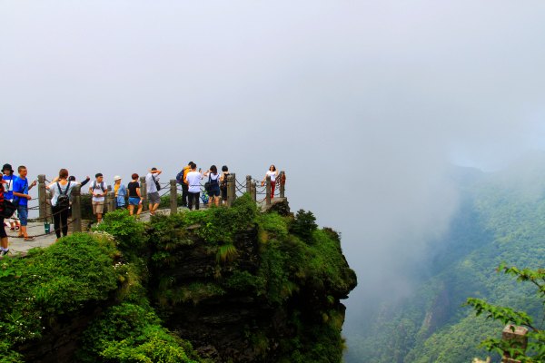 天天有人去山上采蘑菇,每天来观看的游客上万人