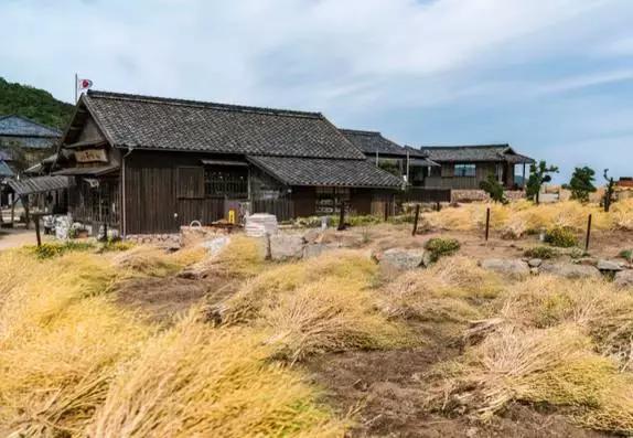 濑户——喜欢你那一抹蓝色光芒（上）