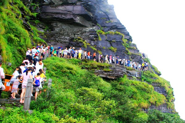 天天有人去山上采蘑菇,每天来观看的游客上万人