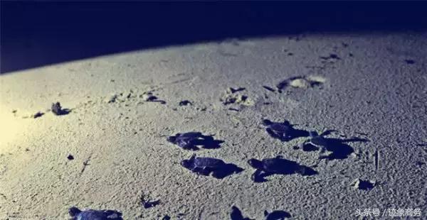 这十个海岛随便选一个都能让你着迷