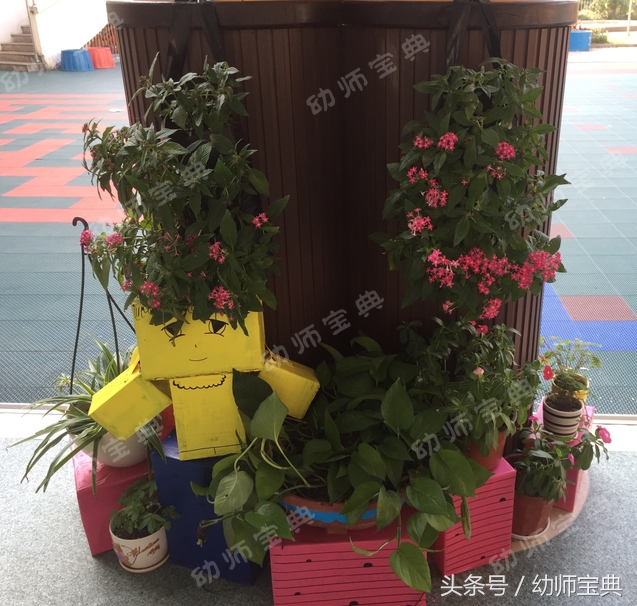 自然角创设分布图,自然角布置幼儿园