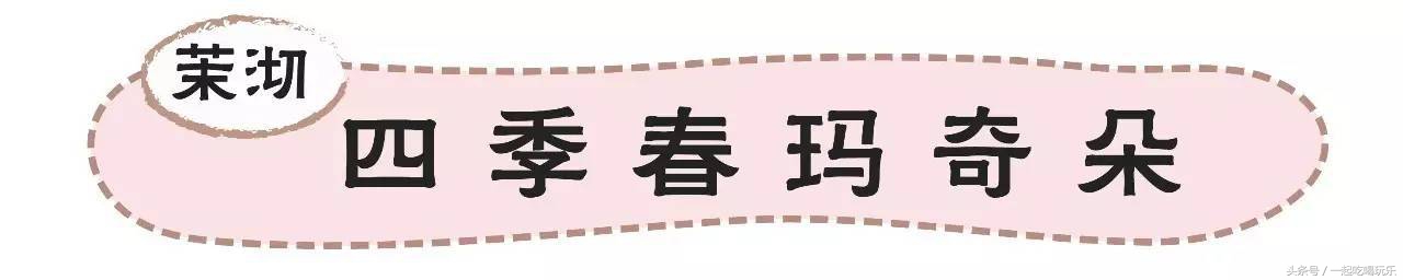 苏州不排队的美食,苏州喜茶新品有哪些饮品