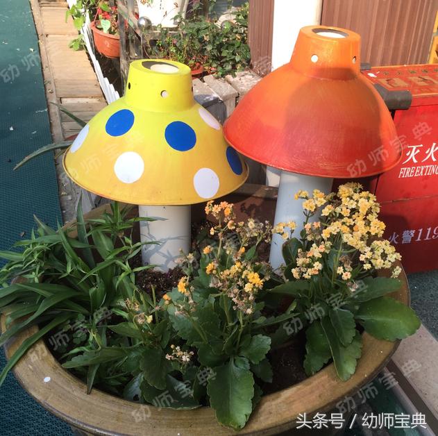 自然角创设分布图,自然角布置幼儿园