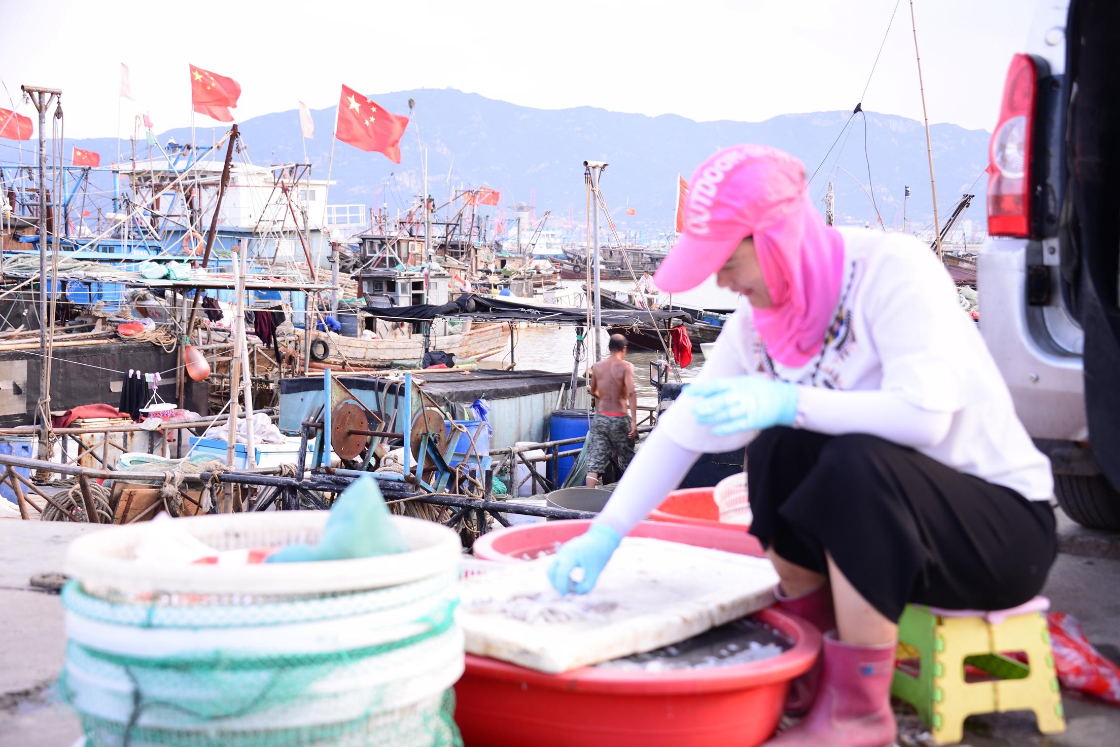 码头渔民工作的照片,码头渔民生活纪录片