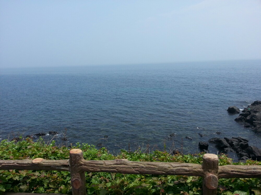 韩国考驾照分手动自动挡吗,韩国考驾照有几次机会