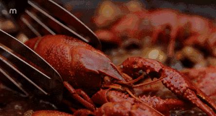 来贵阳花果园必吃的美食,贵阳花果园美食攻略推荐