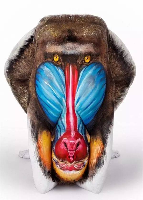 这才是艺术视觉效果,这才是真正的艺术美