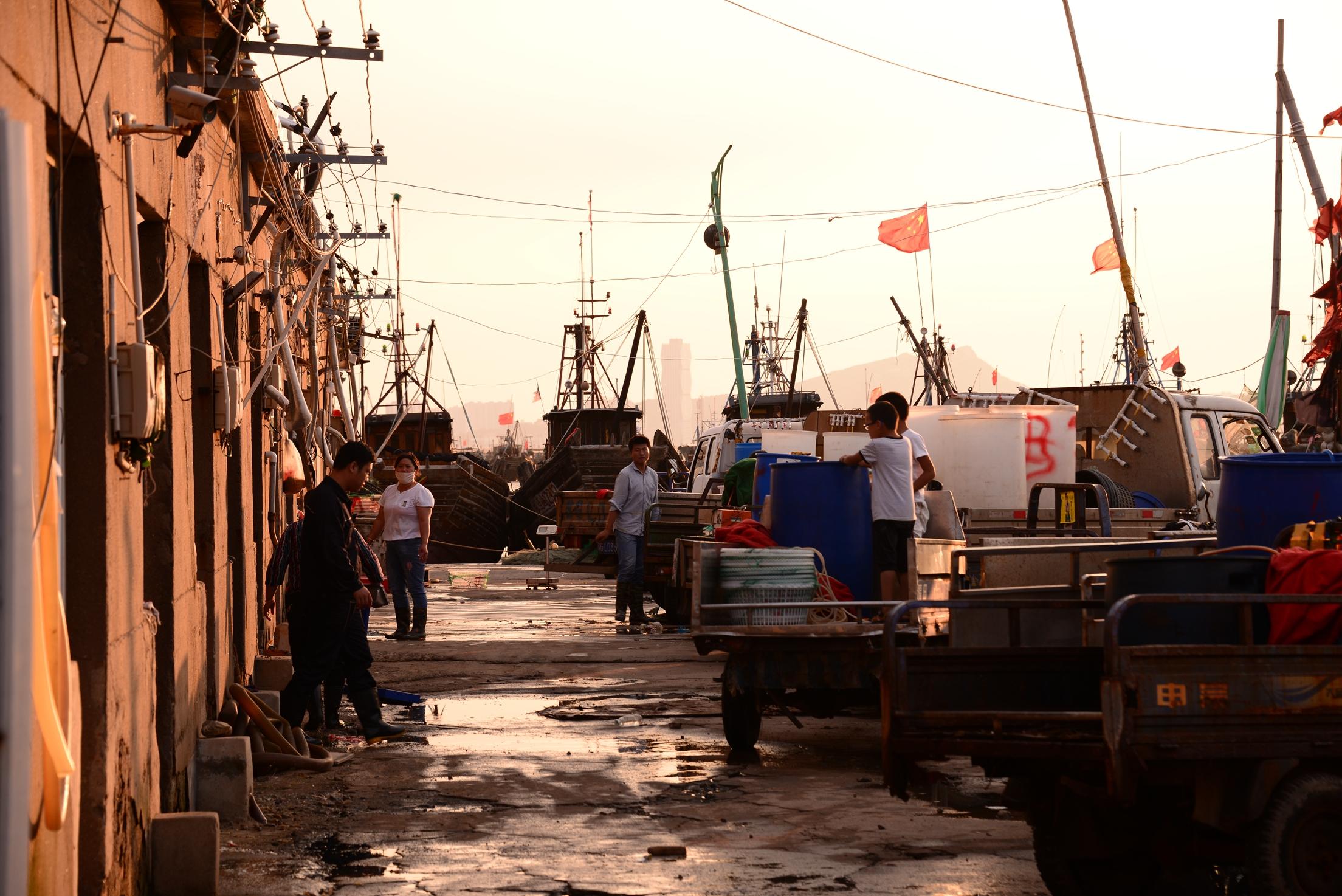 码头渔民工作的照片,码头渔民生活纪录片