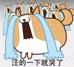 做个炸鸡店需投资多少,做一个炸鸡