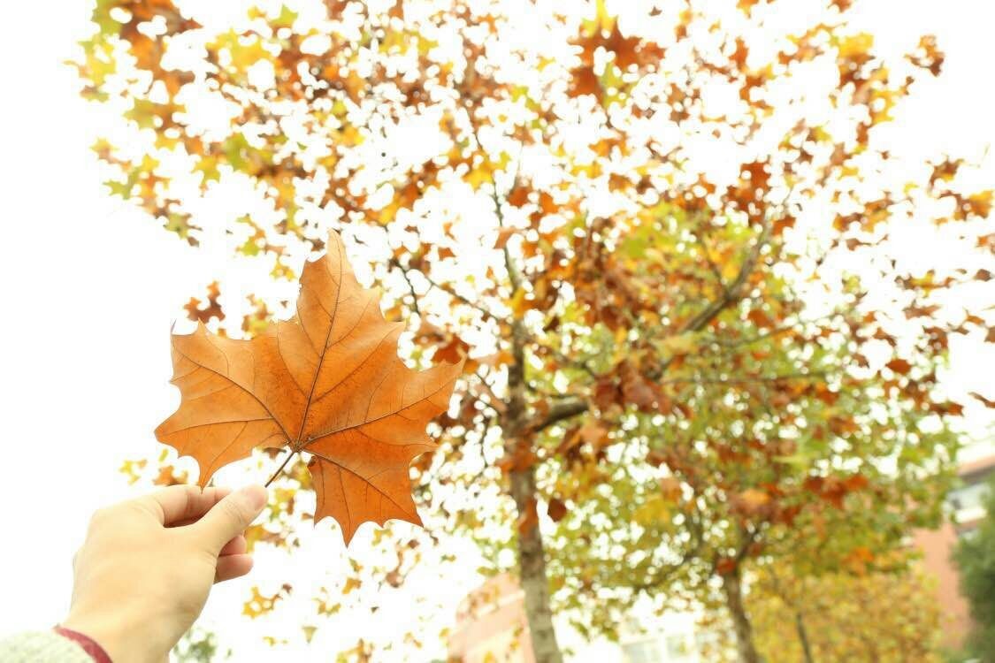 武汉商学院,武汉商学院新生开学典礼