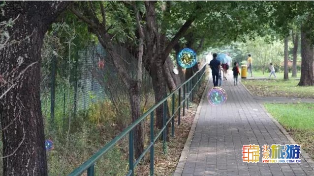 京城最大郊野公园，不仅免费，还藏了好多不为人知的秘密！
