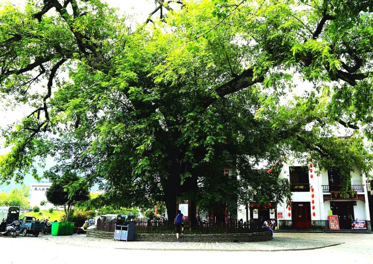 水光潋滟晴方好描写哪个景点,山色空蒙雨亦奇