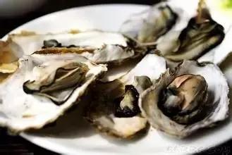 羊口开海！倒计时一天！第一网吃起来！看完哈喇子流一地