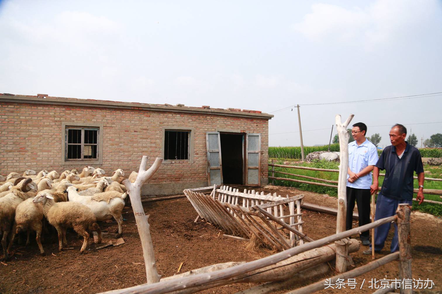 我在基层做信访,我在基层做信访工作感言