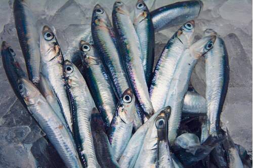 甲减患者饮食注意事项有哪些,甲减患者的饮食注意事项有哪些