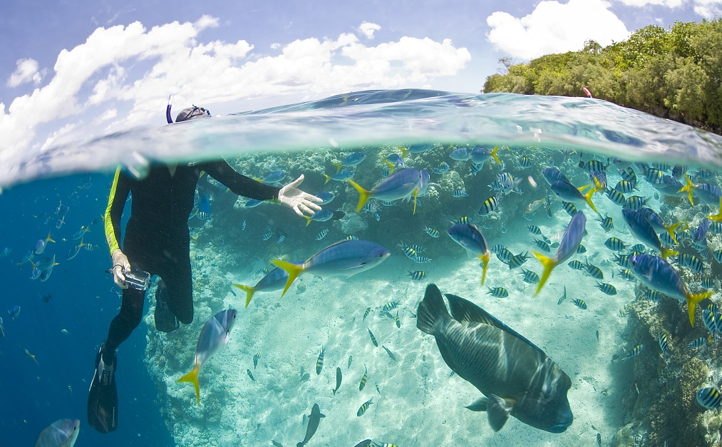 帕劳旅游最美风景攻略,帕劳旅游攻略自由行