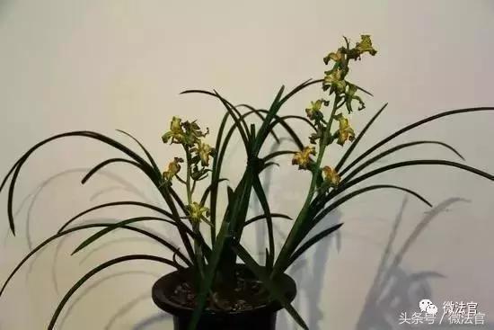 你离犯罪有多近,当你走在犯罪的路上