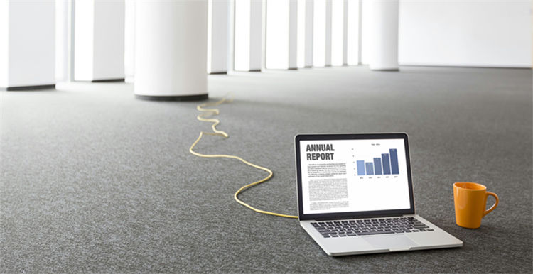 赛维电商资金,赛维电商经营分析