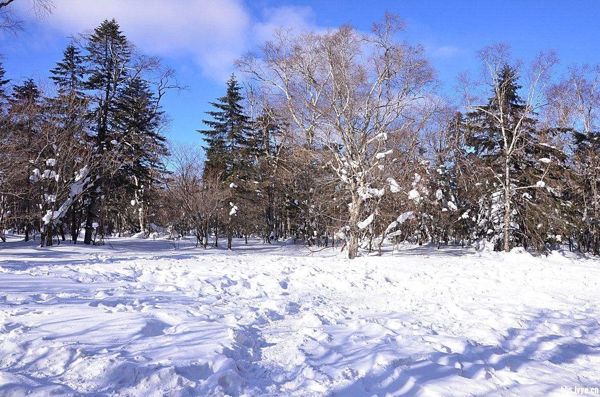 东北话百听不厌，看看你会说多少？