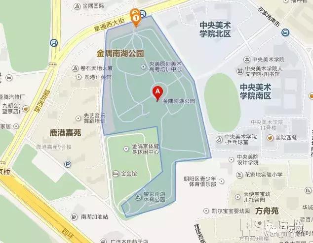 厚积薄发银杏,望京公园和大望京公园哪个好