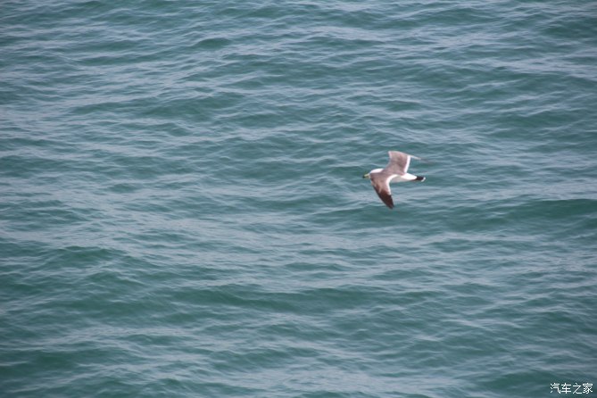 小夫妻西藏自驾游完整视频,自驾西藏小两口无人区