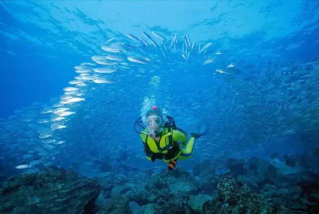 爱上邮轮的十个理由,爱上潜水的理由