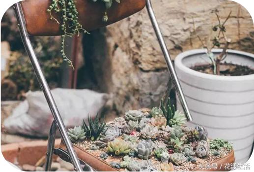 她把2000平方的屋子改造成花园,夫妻花3万改造荒废20年的农村老屋