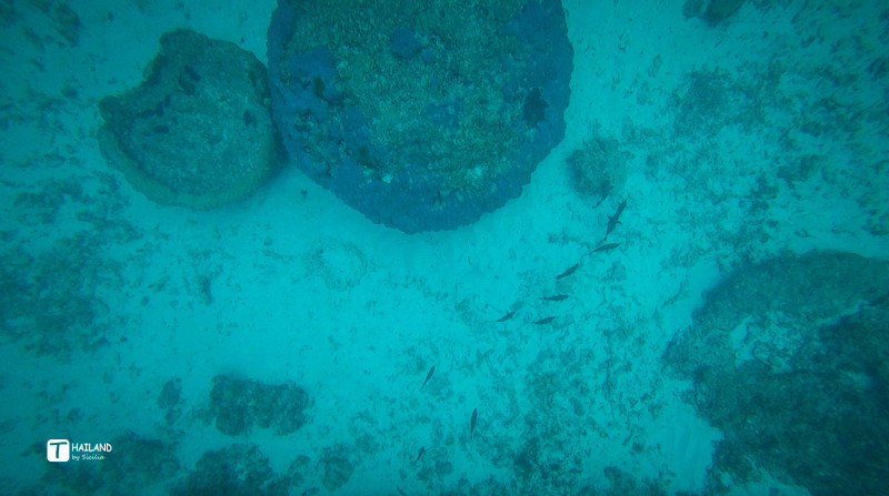 回忆那年在泰国踏浪看海,带你一起去泰国看海