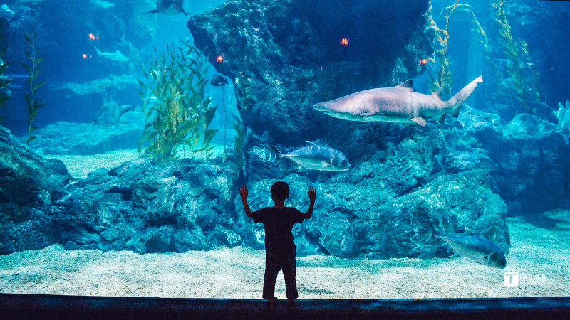 回忆那年在泰国踏浪看海,带你一起去泰国看海
