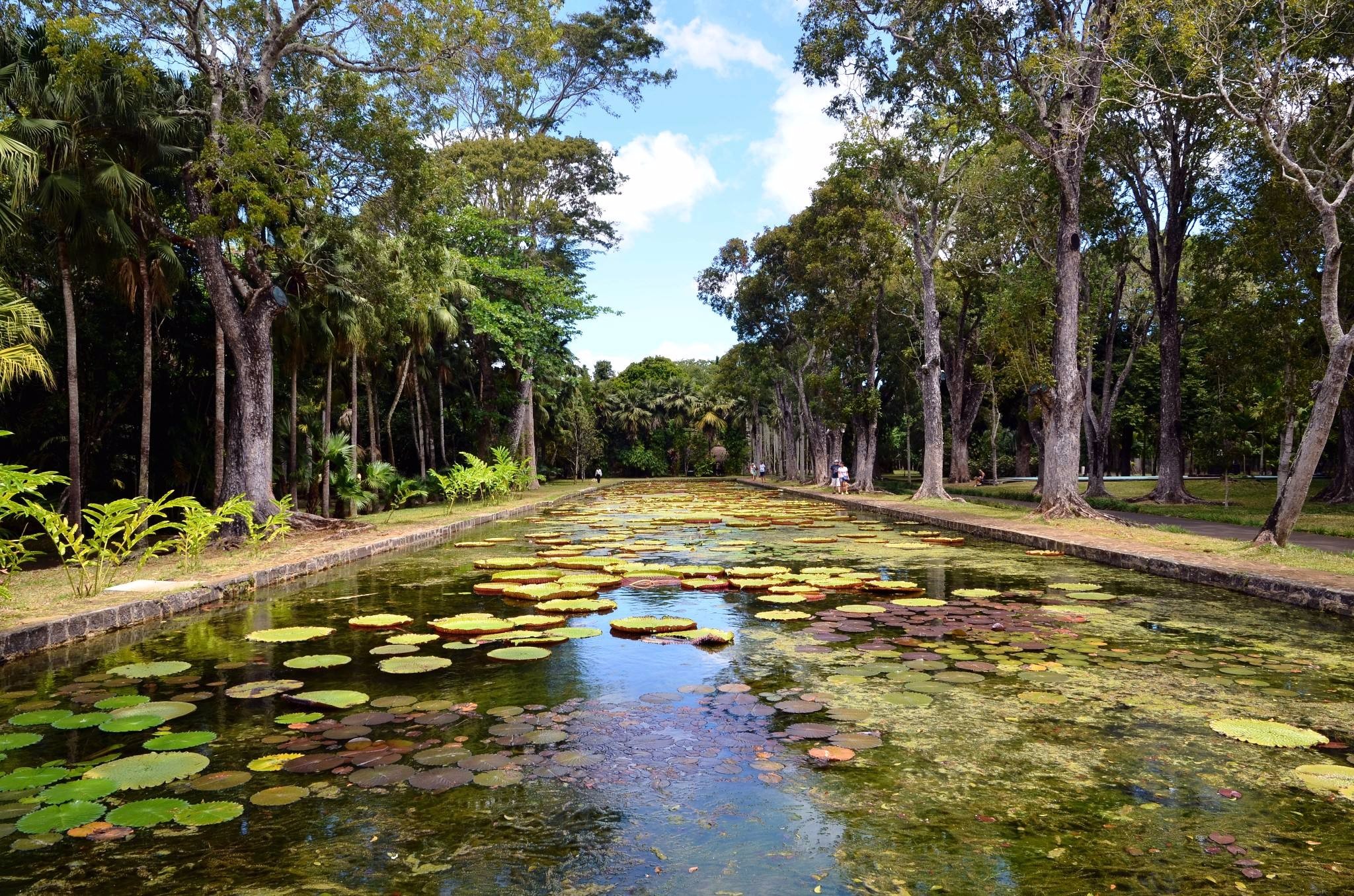 毛里求斯攻略最新,毛里求斯十大旅游攻略