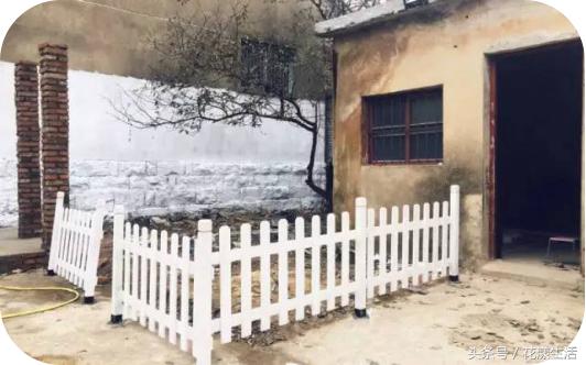 她把2000平方的屋子改造成花园,夫妻花3万改造荒废20年的农村老屋