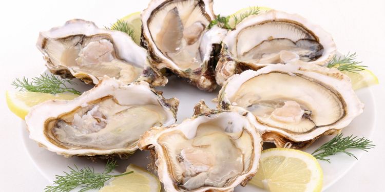 经常掉发怎么办多吃几种护发食物,掉发应该吃什么食物