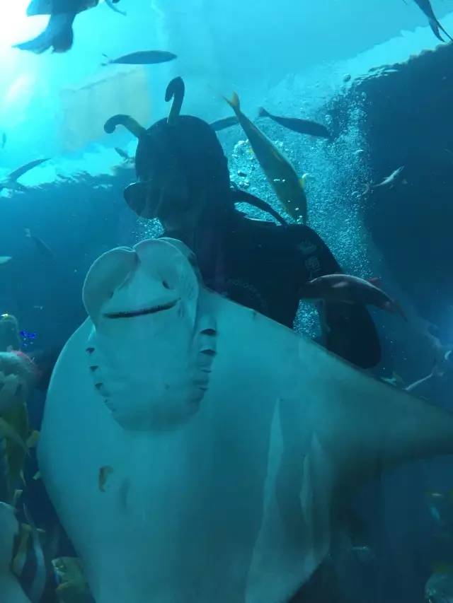 一般我不告诉别人……今年周边哪儿人少？