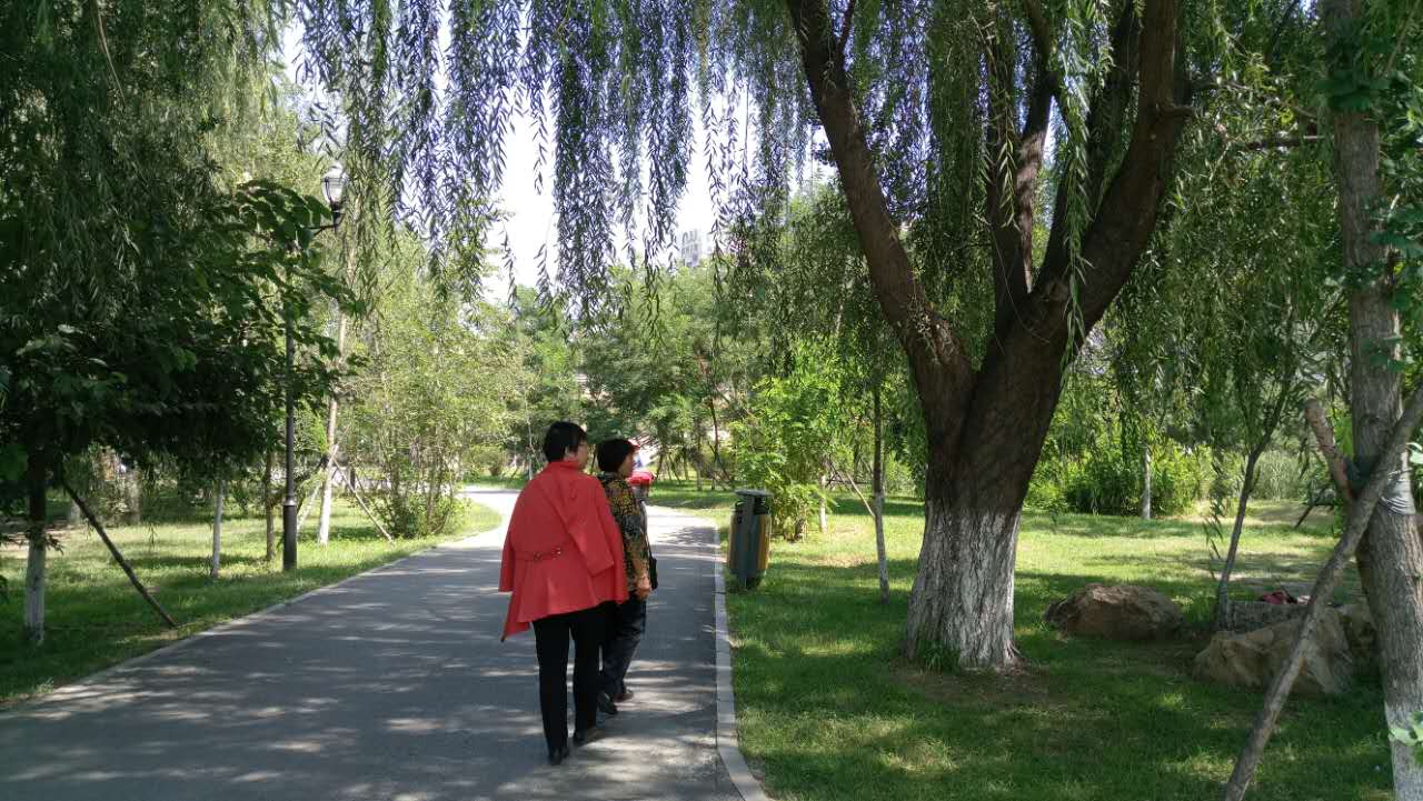 沈阳长白岛森林公园有海吗,游沈阳的长白岛森林公园400字作文