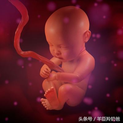 准妈妈肚子里的宝宝胎动,孕妈妈感觉到胎动的图