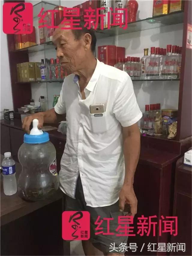 河南捉蛐蛐一个能卖几万,河南哪个地方蛐蛐好抓点