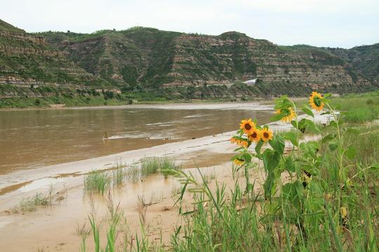 黄河岸边的久久护佑——白云山