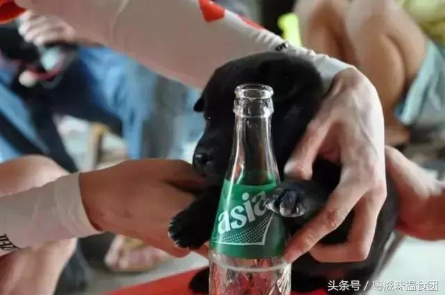 这种无穷的甜蜜味道专属于每个广东人