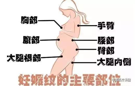 准妈妈要知道的孕期知识,准妈妈孕期常识科普节目