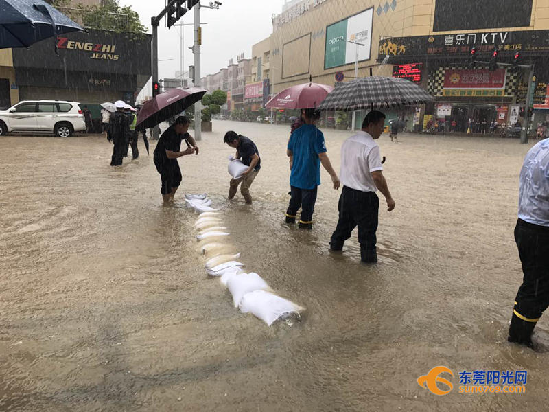 东莞海滩必备泳衣,东莞海边最新消息