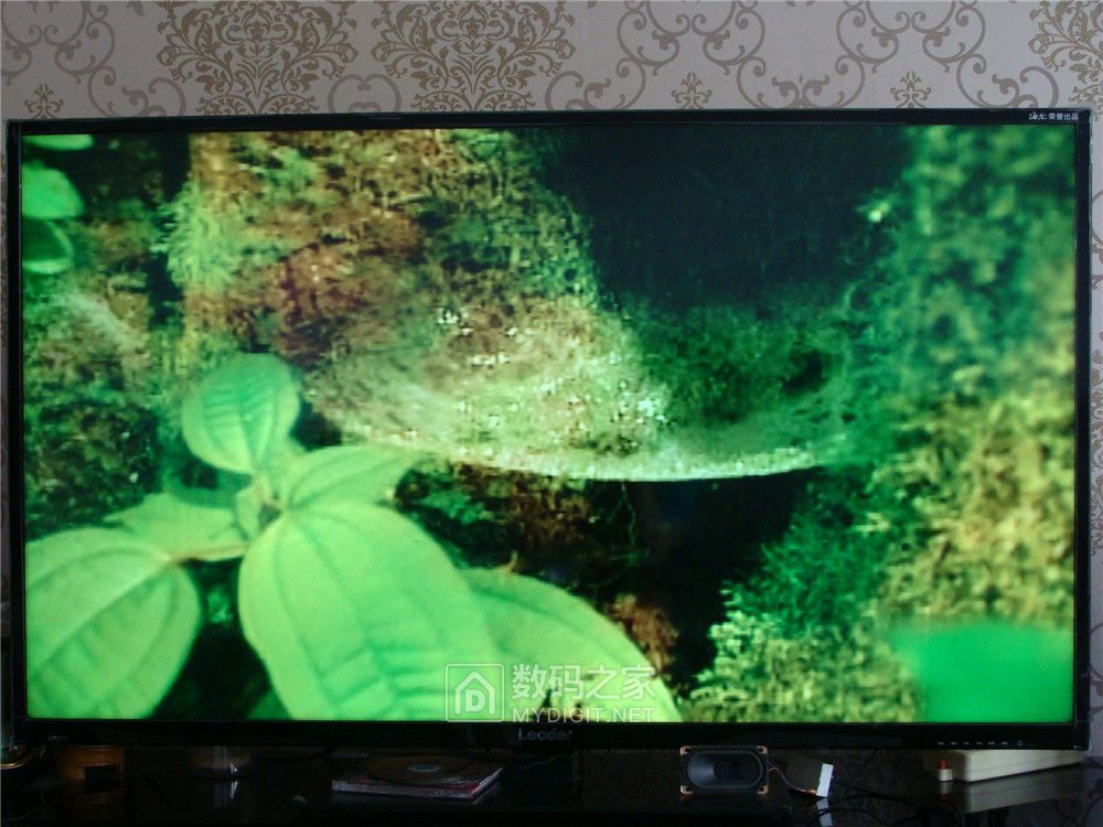 奇声vcd影碟机2008,奇声VCD影碟机